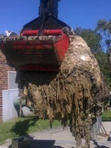 Are wipes flushable - Las Vegas Plumbers