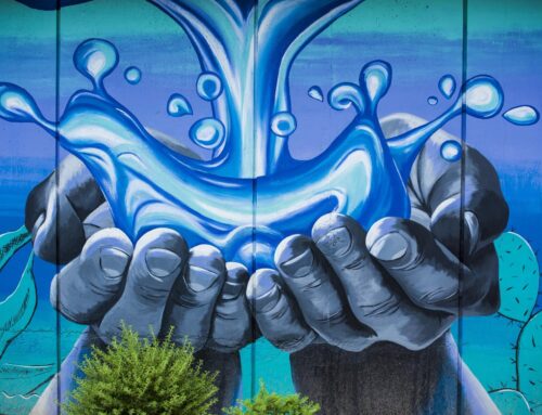 Henderson’s Sustainability Surge: Innovative Plumbing Pros LLC Takes Note