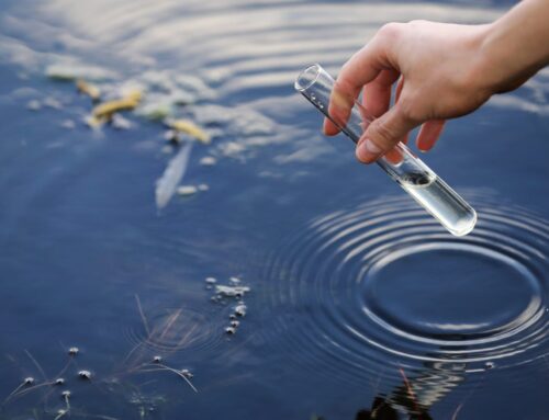 Understanding Water Quality in Henderson, NV
