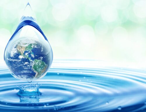 Stay in the Game and Out of the Penalty Box: Clark County’s Winter Watering Schedule Tips from Plumbers